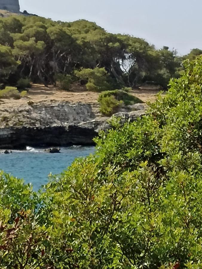Salento Mare E Arte Apartman Nardò Kültér fotó